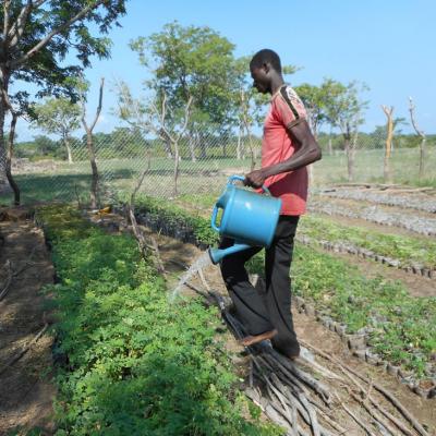 71848587e7ba2c1186ebceed6f1f111e