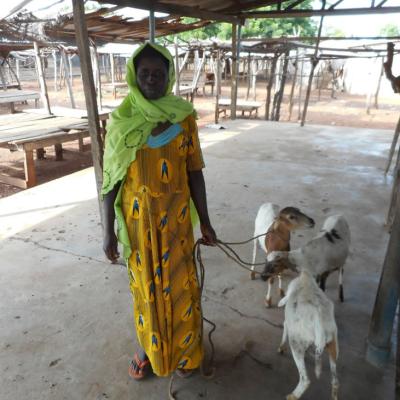 A8bad96655d0a842a92f85ae4eba8e00